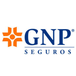 GNP